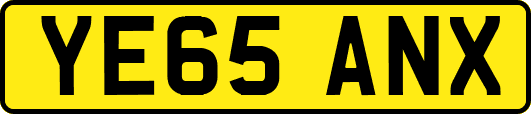 YE65ANX