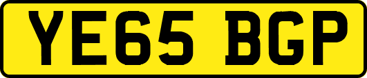 YE65BGP