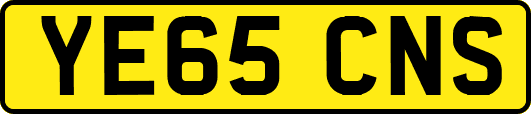 YE65CNS