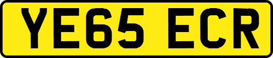 YE65ECR