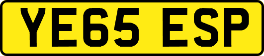 YE65ESP