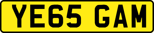YE65GAM