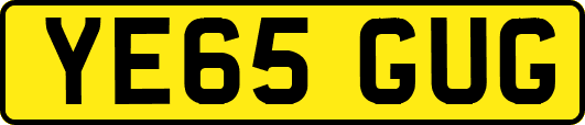 YE65GUG