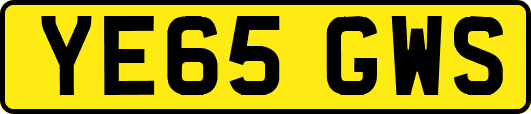 YE65GWS