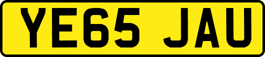 YE65JAU