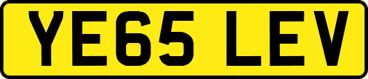 YE65LEV
