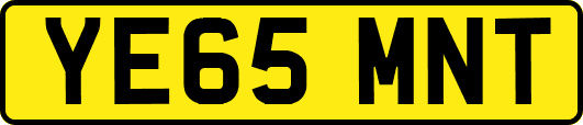 YE65MNT