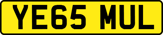 YE65MUL