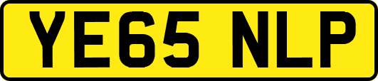 YE65NLP
