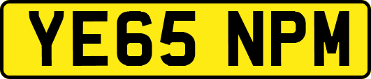 YE65NPM