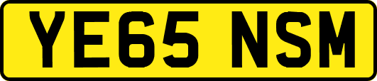 YE65NSM