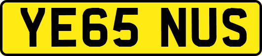 YE65NUS