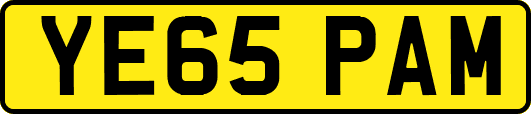 YE65PAM