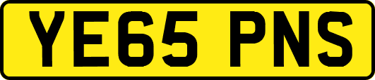 YE65PNS
