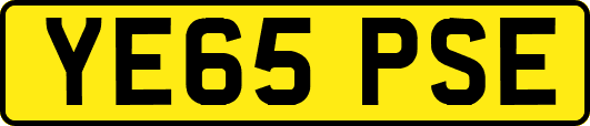 YE65PSE