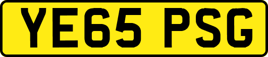 YE65PSG