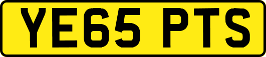 YE65PTS
