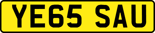 YE65SAU