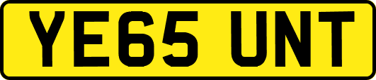 YE65UNT