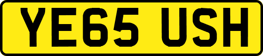 YE65USH