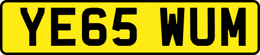 YE65WUM