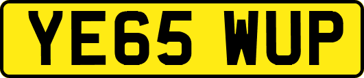 YE65WUP