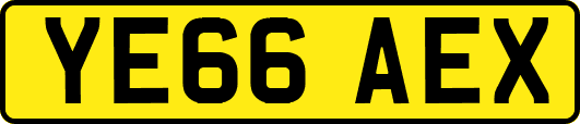YE66AEX