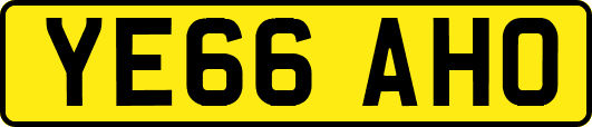 YE66AHO
