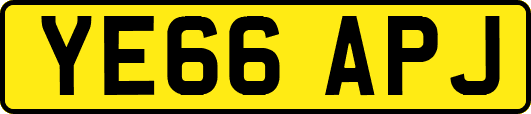 YE66APJ