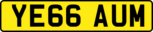 YE66AUM