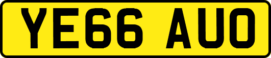 YE66AUO