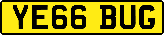 YE66BUG