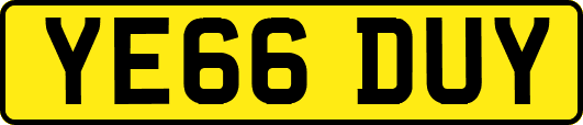 YE66DUY