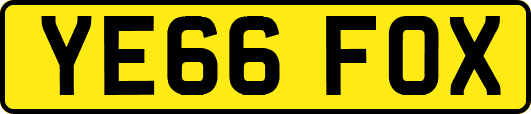 YE66FOX