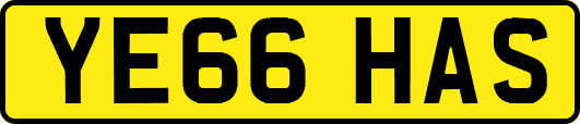 YE66HAS