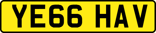 YE66HAV