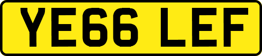 YE66LEF
