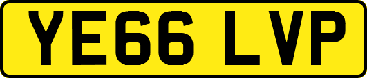 YE66LVP