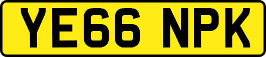YE66NPK