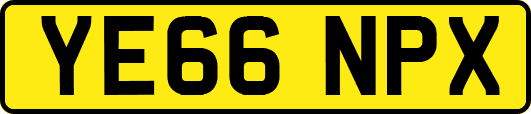 YE66NPX