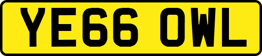 YE66OWL