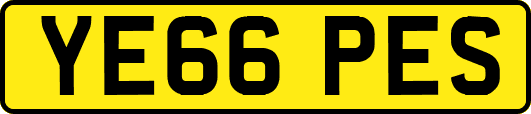 YE66PES