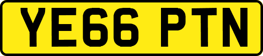 YE66PTN