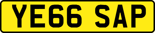 YE66SAP