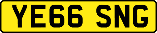 YE66SNG