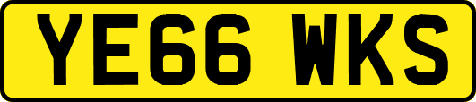 YE66WKS