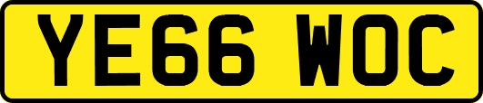YE66WOC