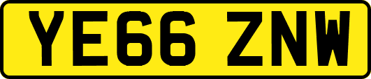 YE66ZNW