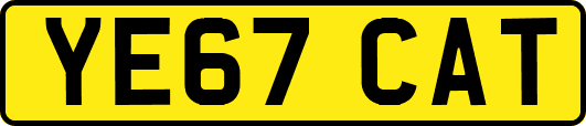 YE67CAT