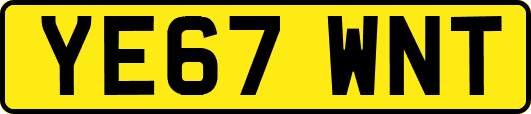 YE67WNT